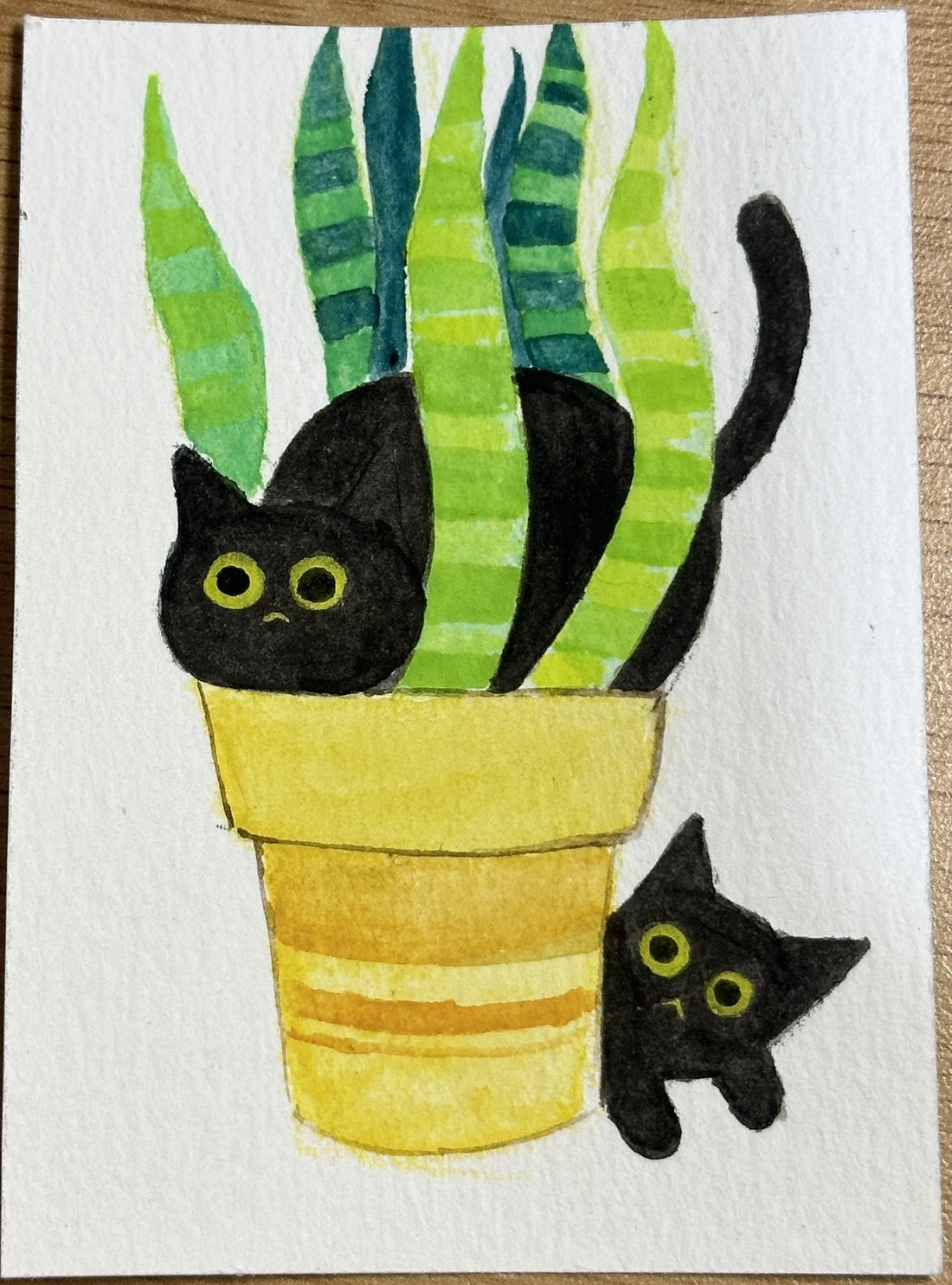 Original ACEO watercolor and gouache painting of two black cats in a snake plant