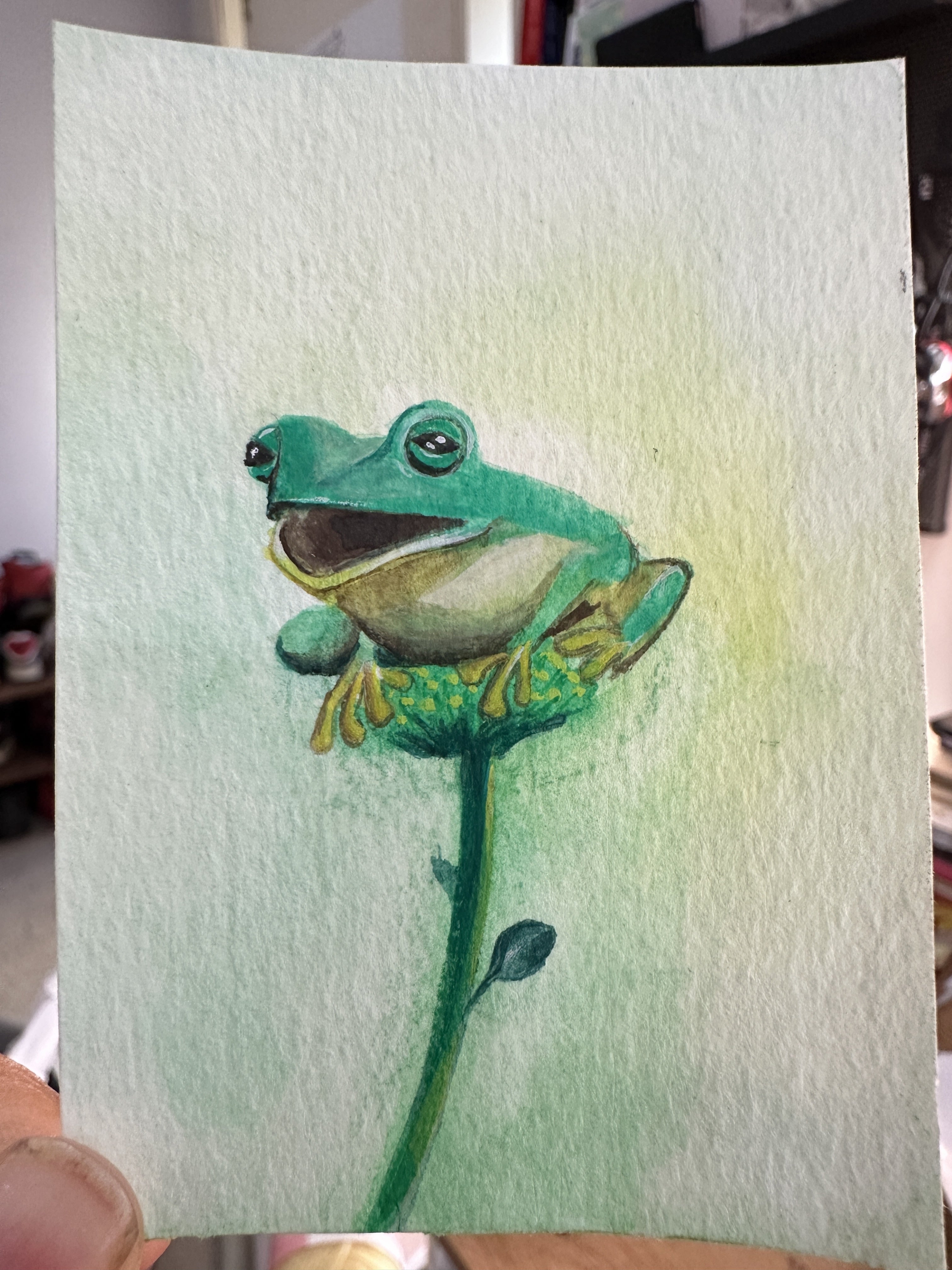 Original ACEO watercolor and gouache painting of a frog on a flower stem