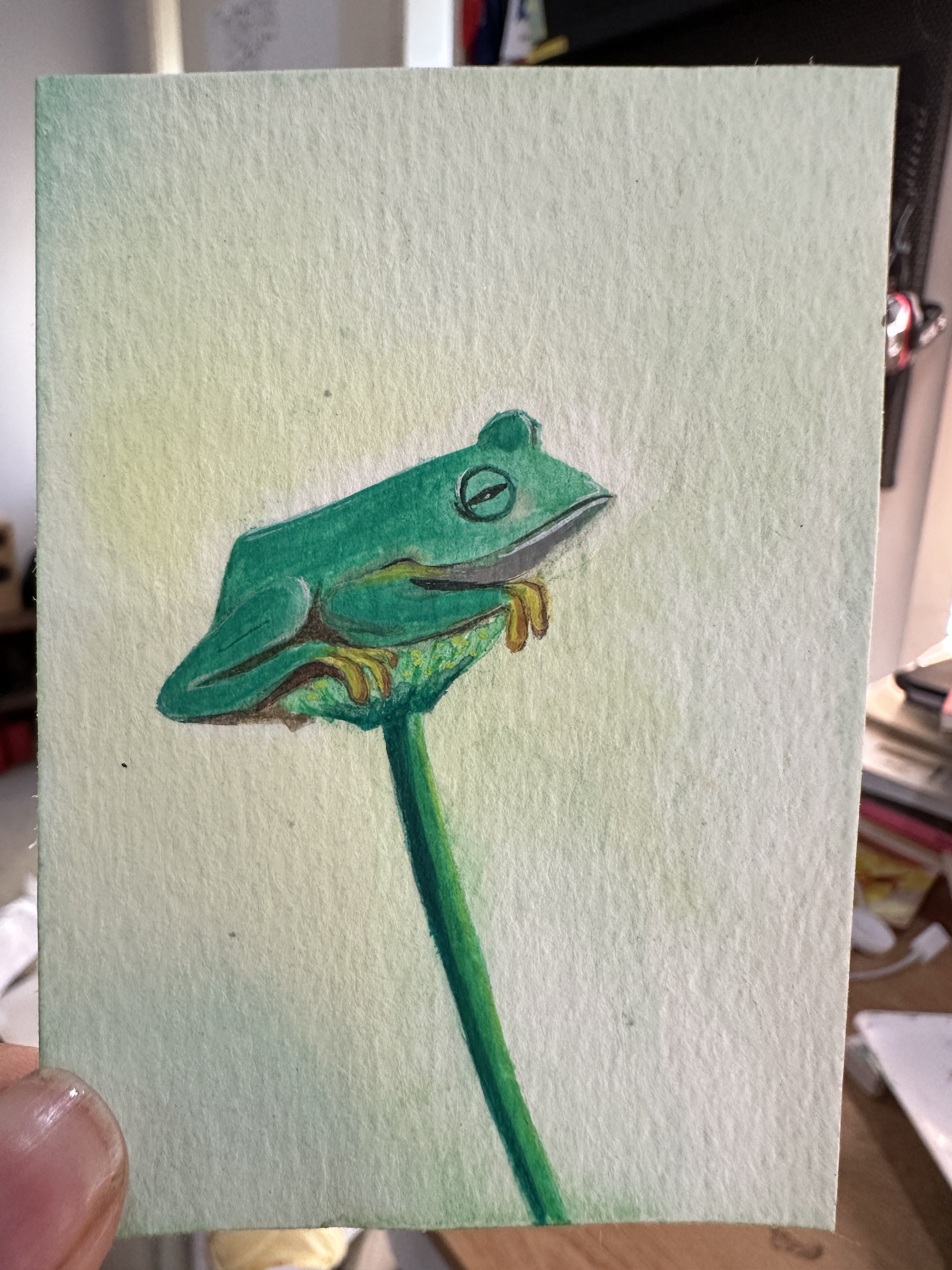 Original ACEO watercolor and gouache painting of a frog on a flower stem, side profile