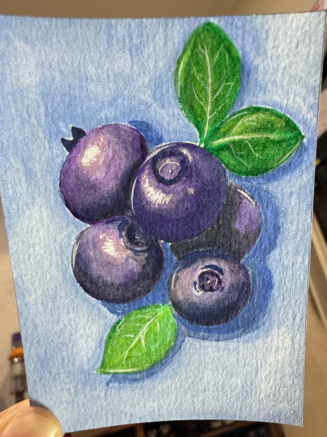 Blueberries with Leaves — New Original ACEO Now in the Shop