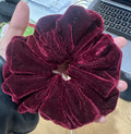 XL Oversized Velvet Scrunchie — Burgundy Wine | Hair Tie & Wrist Accessory | PUNPARIN ART