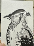Great Horned Owl Portrait - Original ACEO Miniature Painting