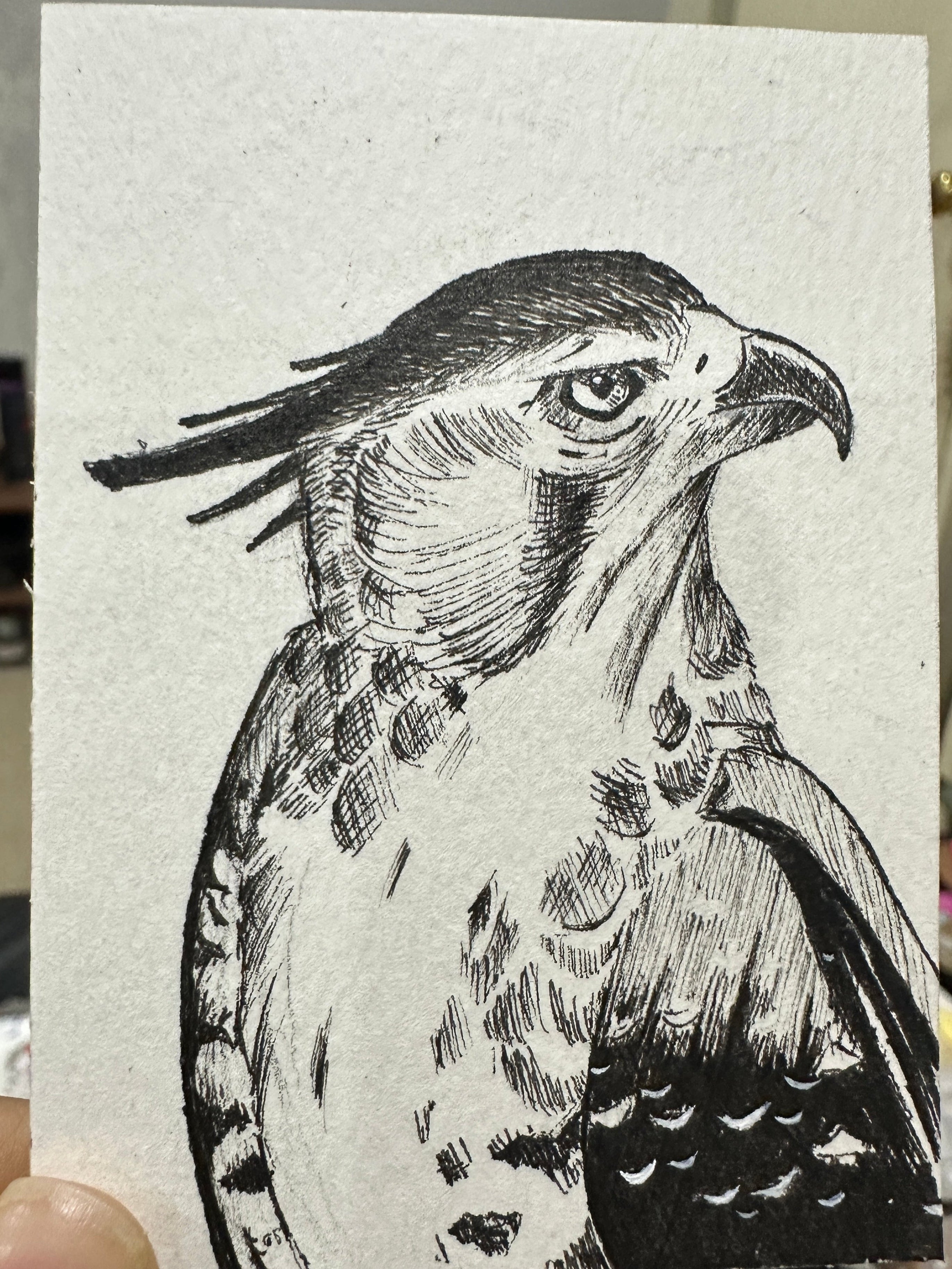 Great Horned Owl Portrait - Original ACEO Miniature Painting