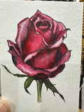 Blooming Crimson Rose - Original ACEO Miniature Painting