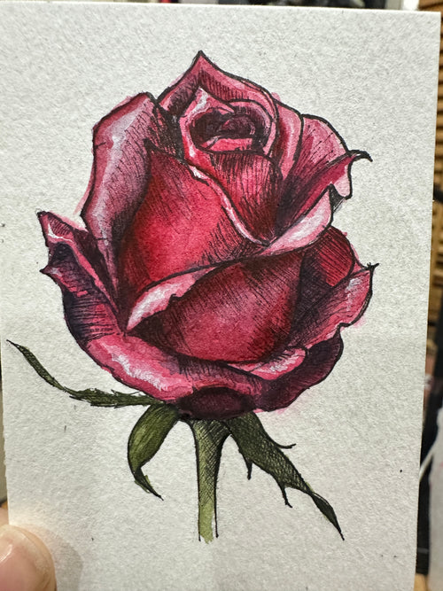 Blooming Crimson Rose - Original ACEO Miniature Painting