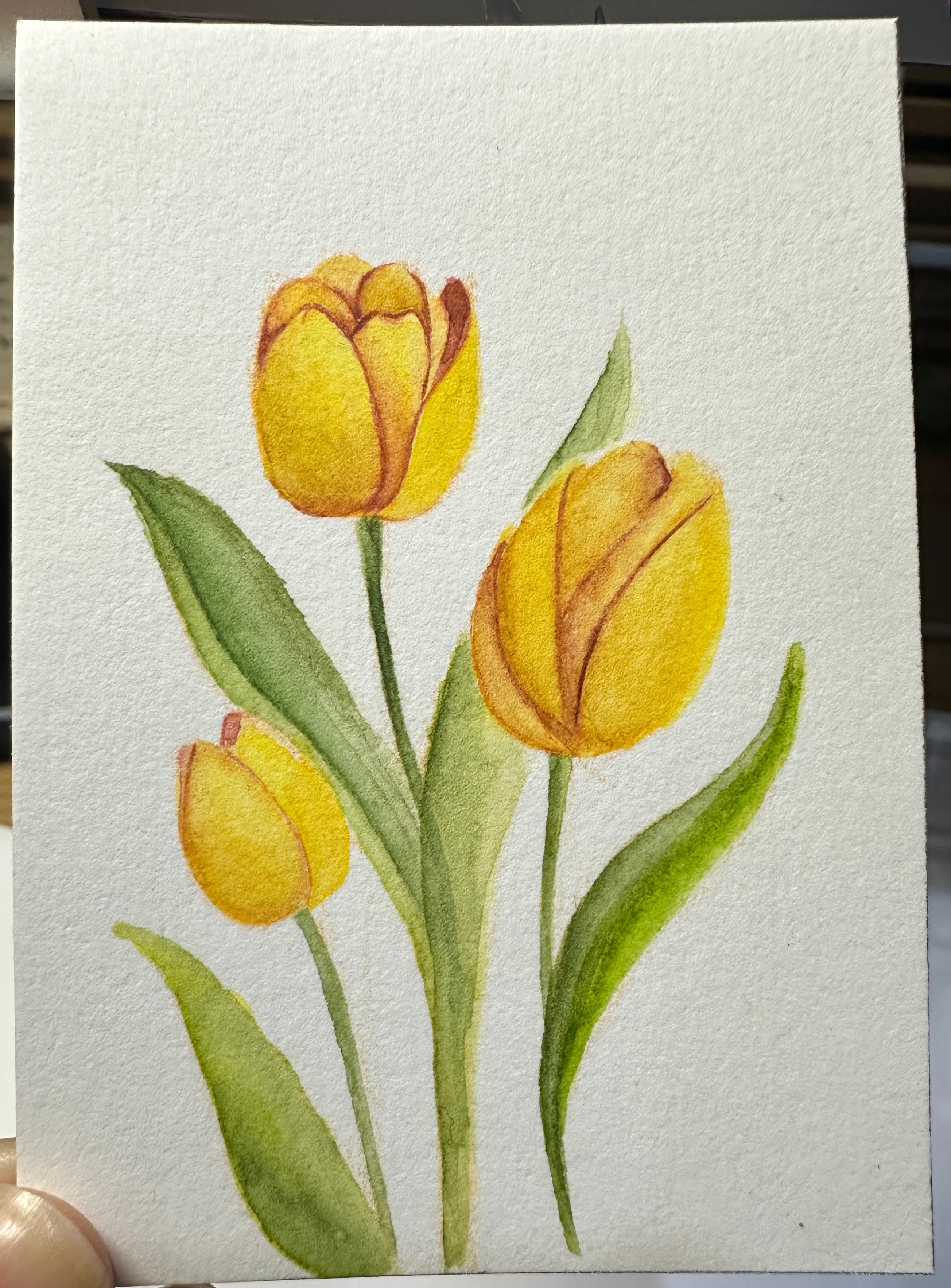 Golden Tulips in Bloom - Original ACEO Miniature Painting