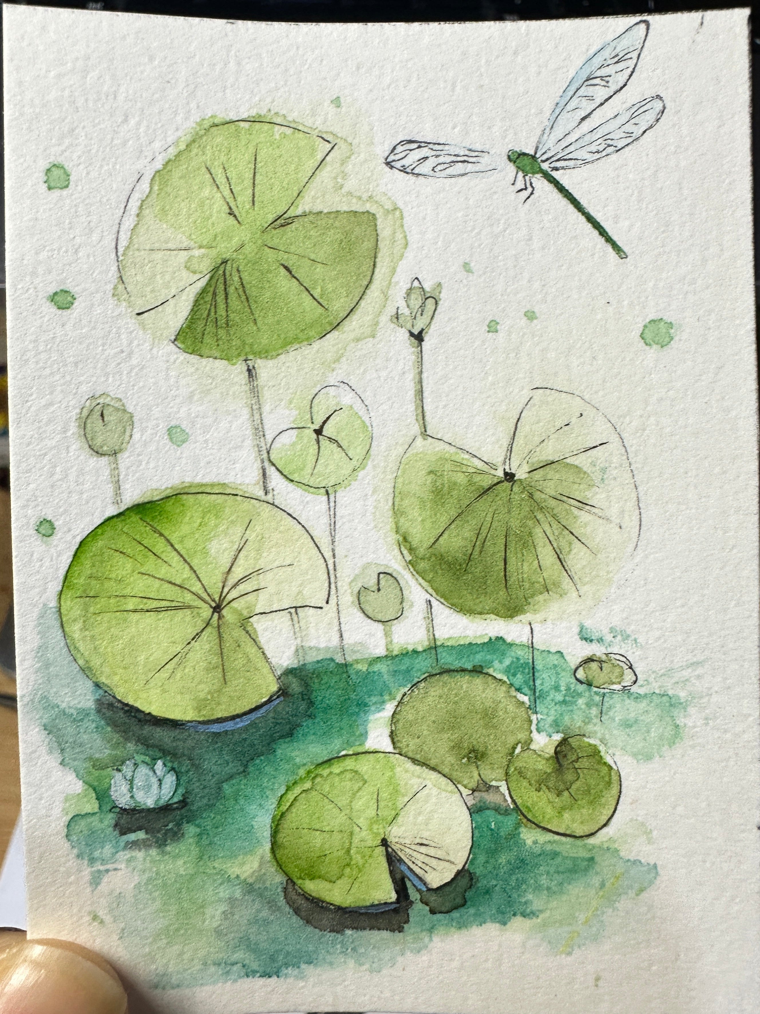 Dragonfly Over Lily Pads - Original ACEO Miniature Painting
